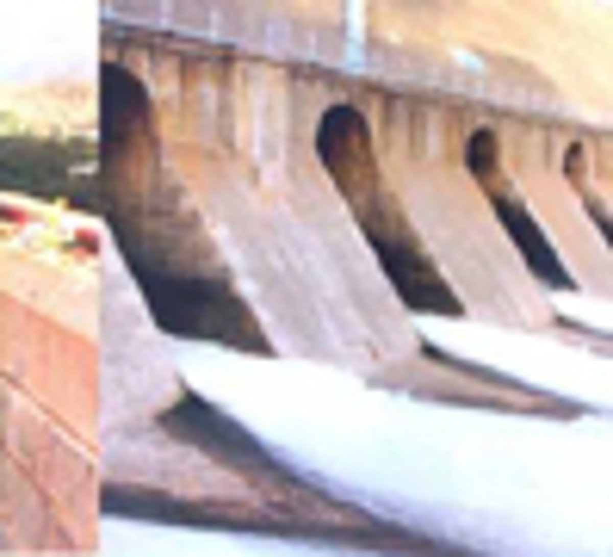 டெல்டாவில் பருவம் தவறும் சம்பா பயிர்கள்