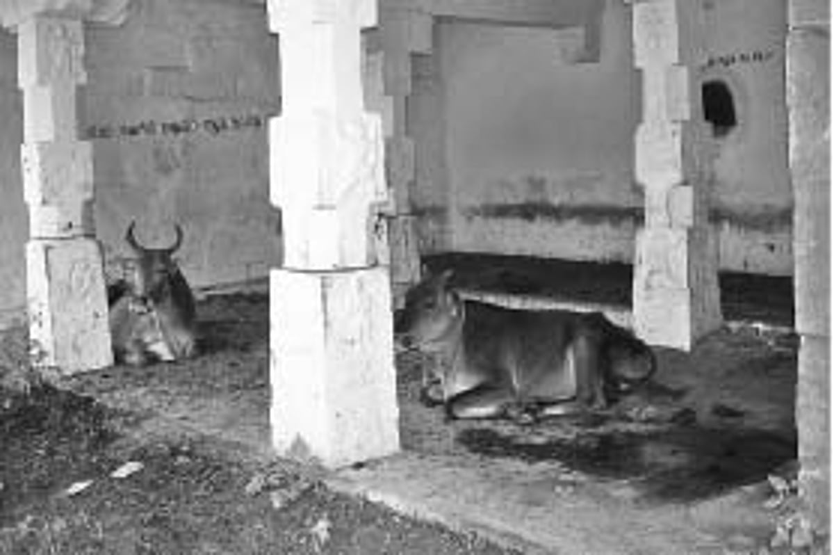 பராமரிப்பில்லாமல் அழிந்து வரும் மன்னர் கால மண்டபங்கள்