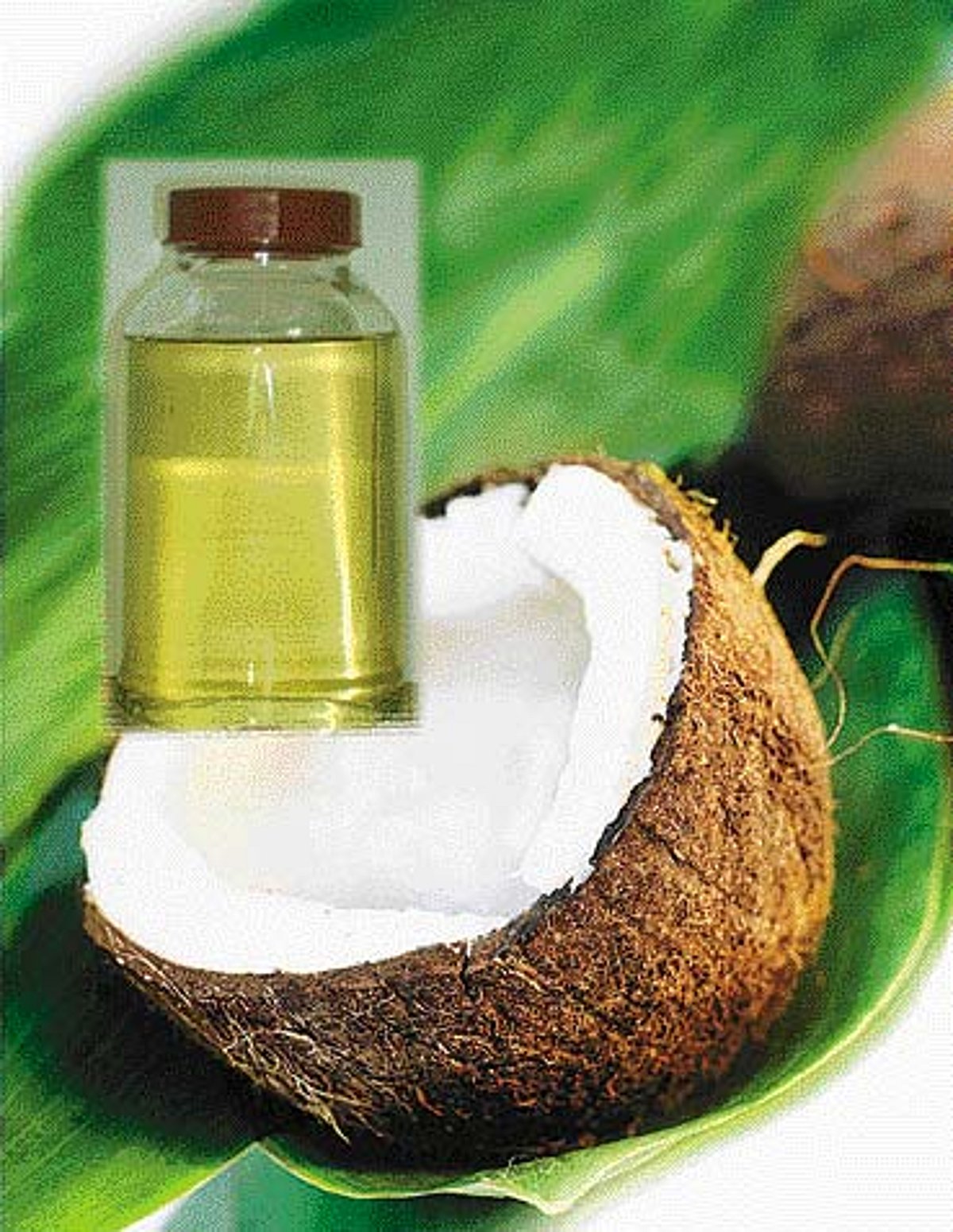 ஆயுள் காக்கும் ஆயுர்வேதம்: மனம் தெளிவு பெற...