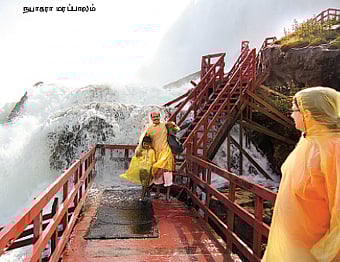 ஆப்பிள் தேசம்-5: பரவச அனுபவத்தின் மறுபெயர்!