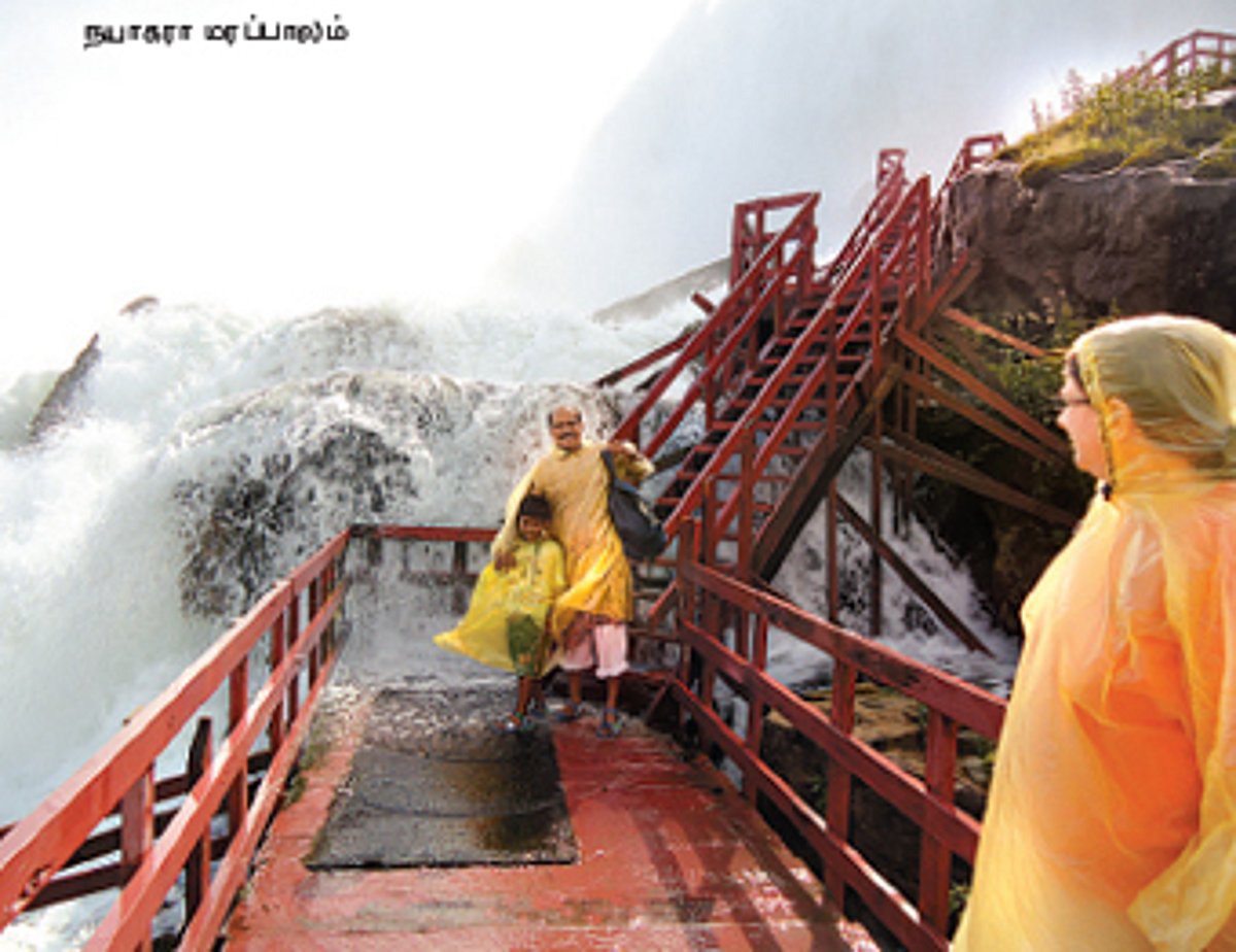 ஆப்பிள் தேசம்-5: பரவச அனுபவத்தின் மறுபெயர்!