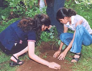 பிரதமரின் பிறந்தநாளில் 75 லட்சம் மரக்கன்றுகள் நட ஒடிசா அரசுத் திட்டம்!