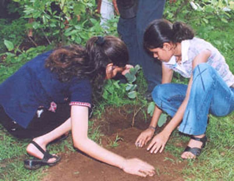 Odisha to plant 75 lakh saplings