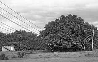 மின்சார இழப்பைத் தடுக்க நடவடிக்கை எடுக்கப்படுமா?