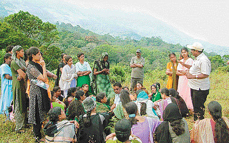 முகங்கள்: உயிருள்ள பட்டாம்பூச்சியை உருவாக்க முடியுமா?