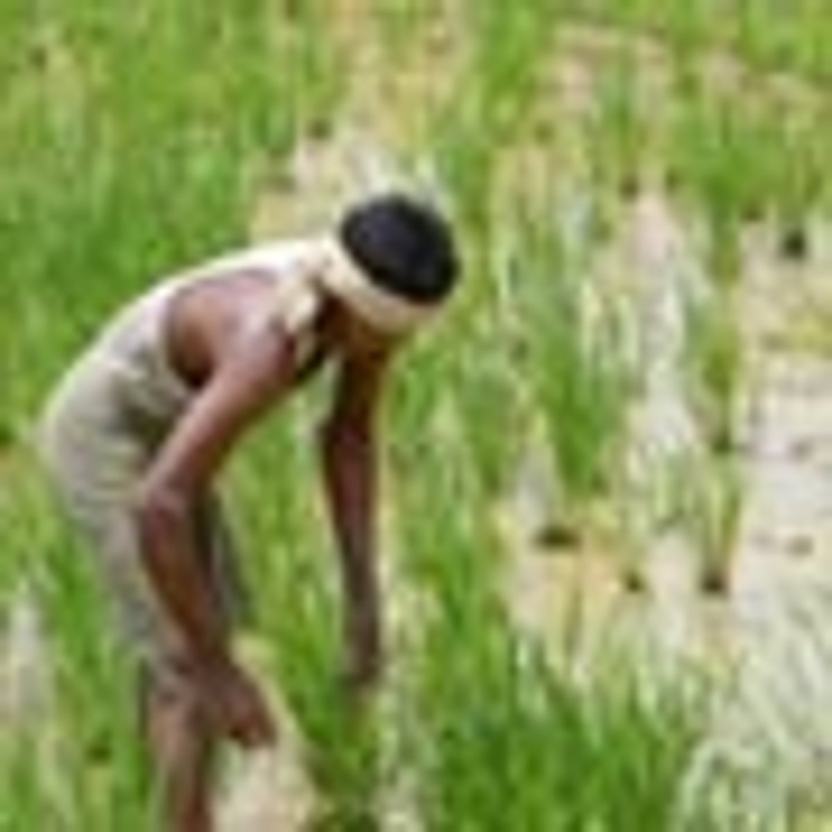 மக்களுக்கு என்ன பயன்?