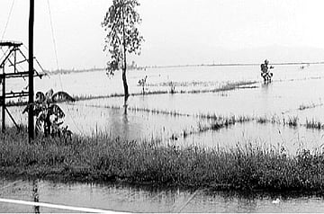 மழைக் காப்பீட்டு திட்ட நடைமுறைகள் மாற்றப்படுமா?