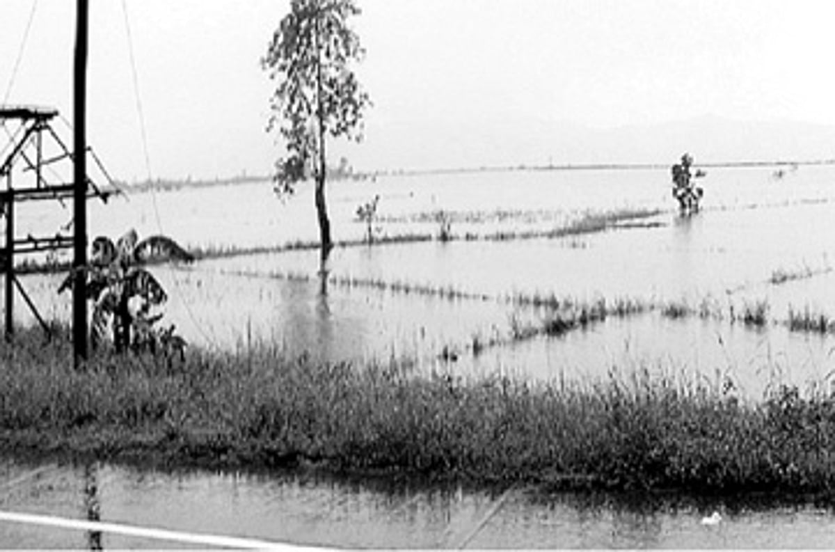 மழைக் காப்பீட்டு திட்ட நடைமுறைகள் மாற்றப்படுமா?