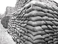 திறந்தவெளியில் வீணாகும் 1 லட்சம் டன் நெல் மூட்டைகள்