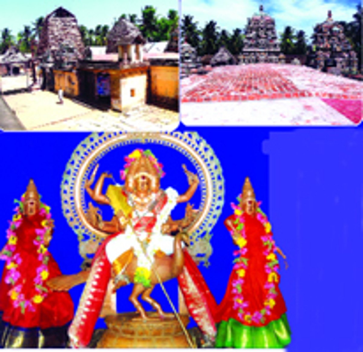 மனமே முருகனின் மயில் வாகனம்!