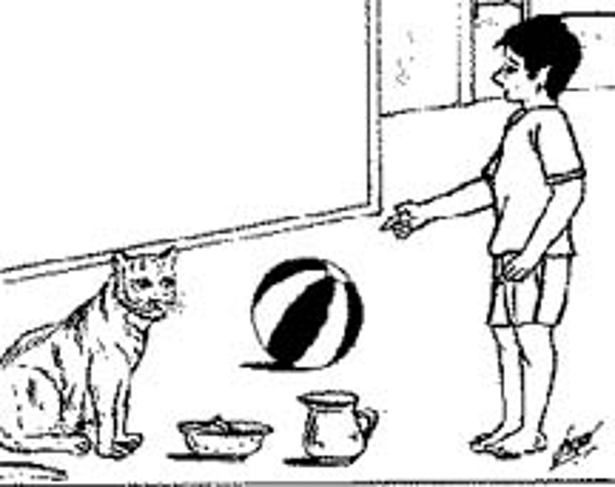 சிறுவர் பாடல்: பூனையிடம் வேண்டுகோள்!