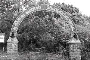 மூலிகைகள் முக்கியத்துவம் பெறுமா?