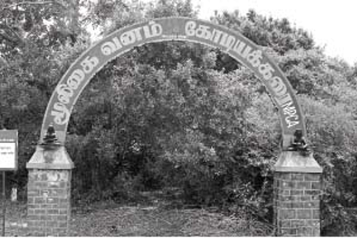 மூலிகைகள் முக்கியத்துவம் பெறுமா?