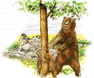 காட்டுக்குள்ளே கொண்டாட்டம்! 2