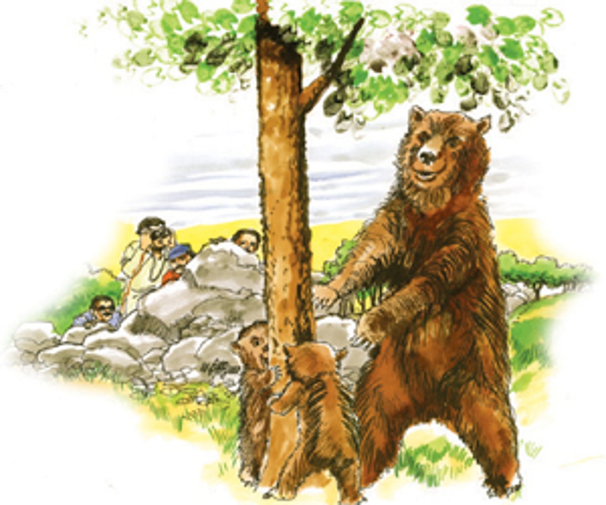 காட்டுக்குள்ளே கொண்டாட்டம்! 2