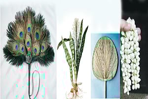 ஆரோக்கியம்: விசிறியும் டாக்டர்தான்!