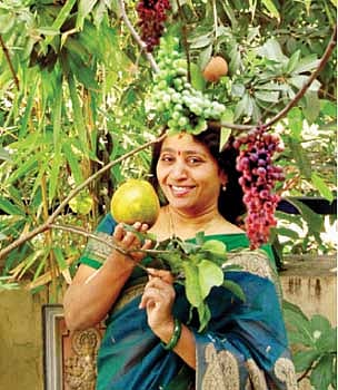 ஊரே என் நந்தவனம்... வீடே என் தோட்டம்!