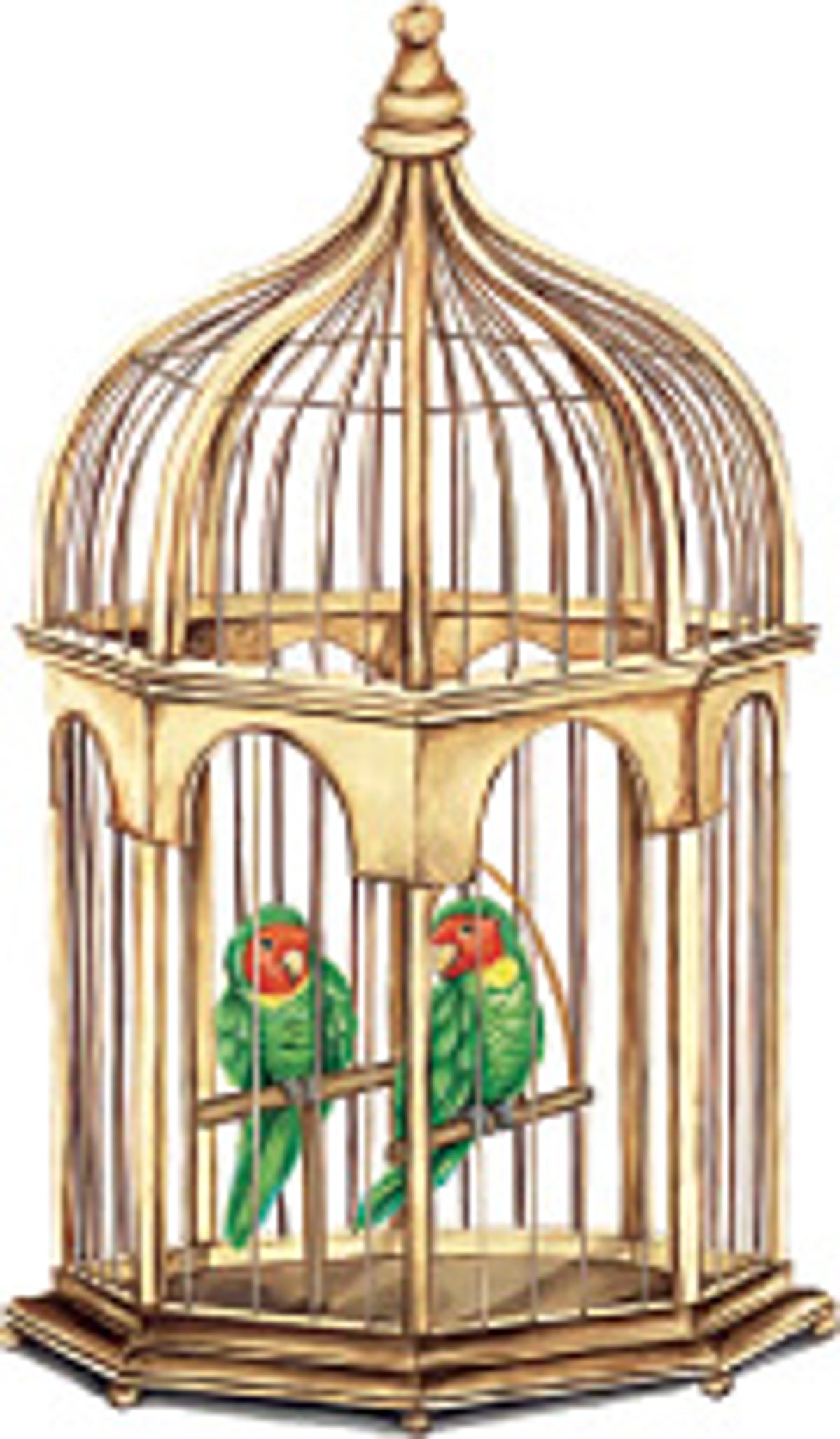 சிறுகதை: கிளிக்கூண்டு