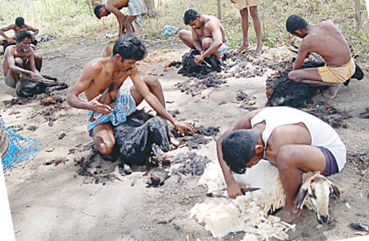 குருமன்ஸ் இன மக்களுக்கு கிடைக்குமா பழங்குடியினச் சான்றிதழ்?