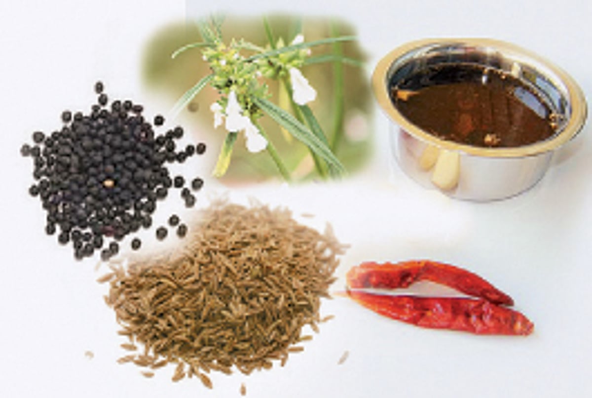 ஆயுள் காக்கும் ஆயுர்வேதம்: தும்பைப் பூ, நல்லெண்ணெய் குளியல்