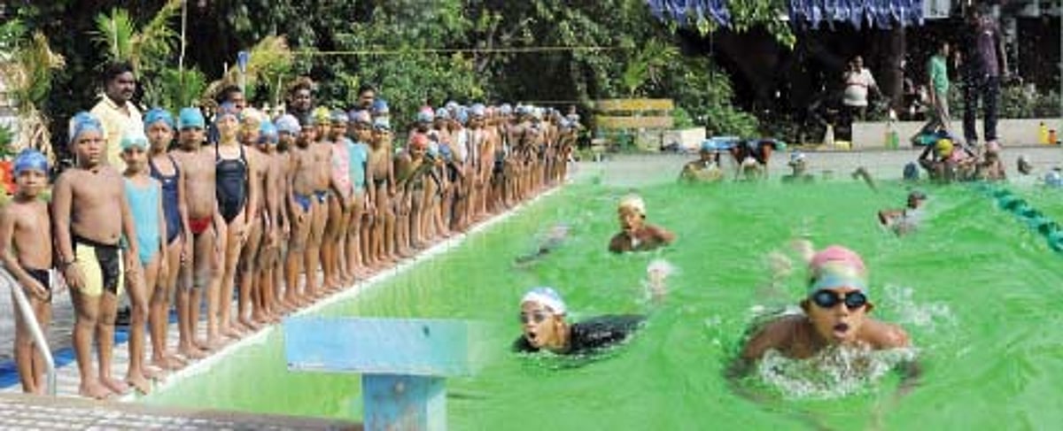 நீச்சல்... பாய்ச்சல்!