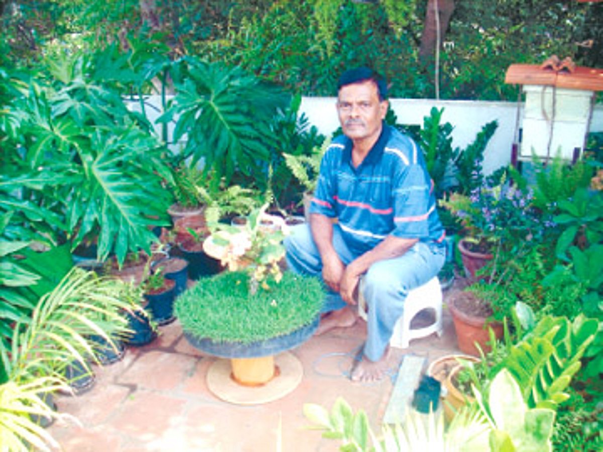 வெட்டி வேரு வாசம்... வீடு வரை வீசும்!