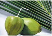 ஆயுள்காக்கும் ஆயுர்வேதம்: சிறுநீர்ப் பையைத் தூய்மைப்படுத்த இளநீர்!