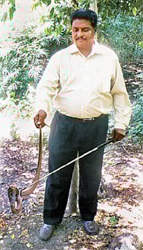 சூழல்: பாம்புக்குக் கால்கள் உண்டு!