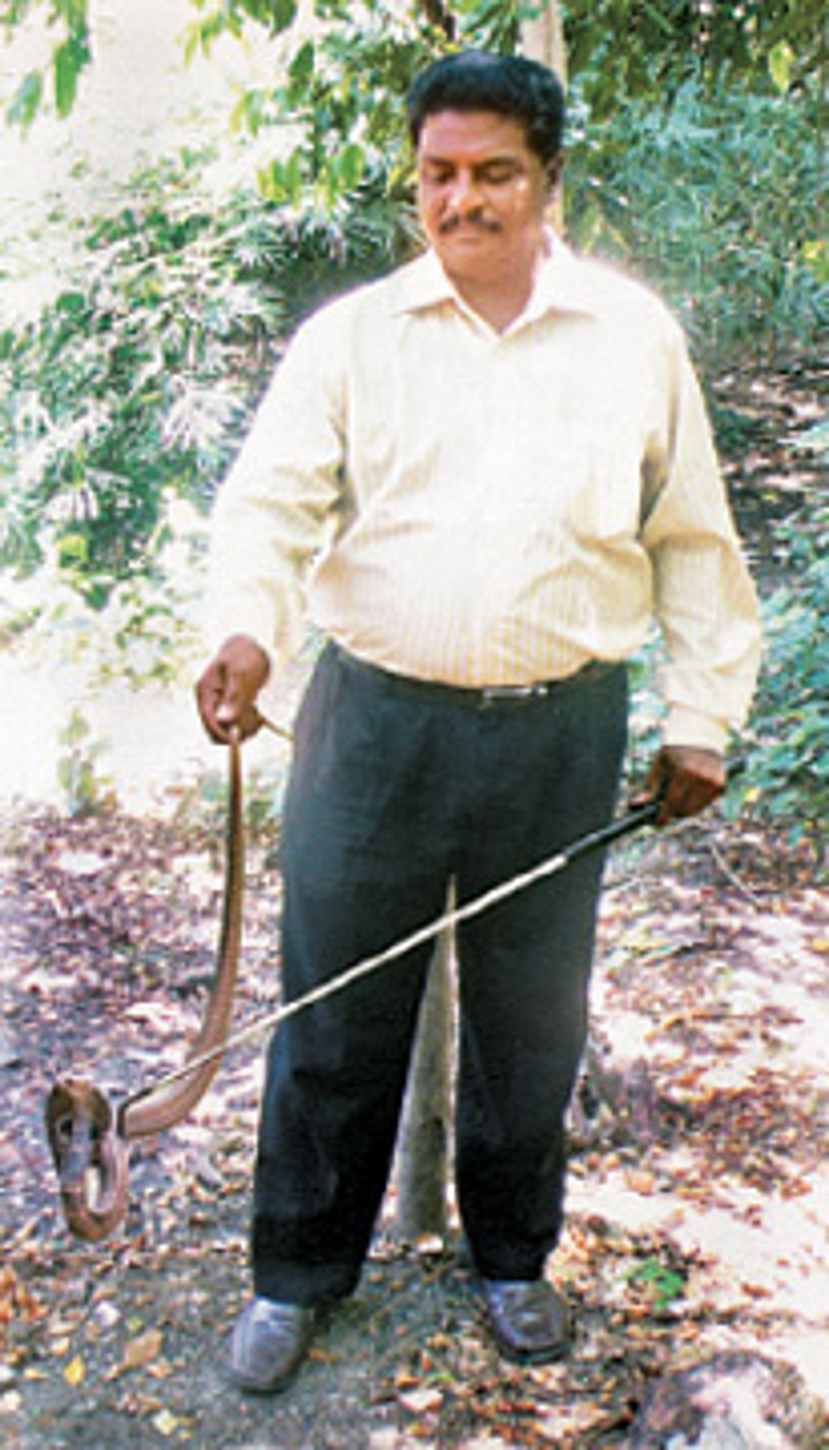 சூழல்: பாம்புக்குக் கால்கள் உண்டு!