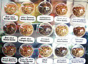 விழிப்புணர்வு: வரகு பாத்; தினை கேசரி!