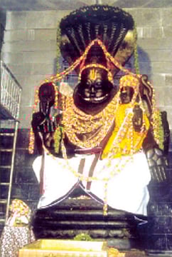 'மஹா சம்ப்ரோ​க்ஷ​ணம்' காணும் மஹா சிம்மம்!