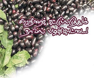 ஆயுள்காக்கும் ஆயுர்வேதம்