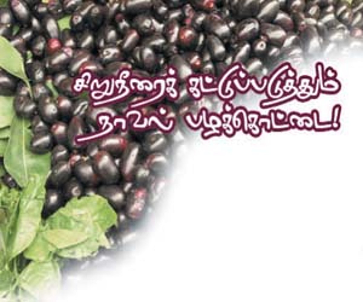 ஆயுள்காக்கும் ஆயுர்வேதம்