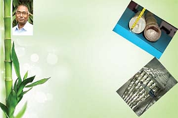 ஒரு டன் மூங்கில்; ஒரு மெகாவாட் மின்சாரம்!