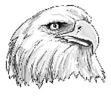 சவால் விடுகிறோம்