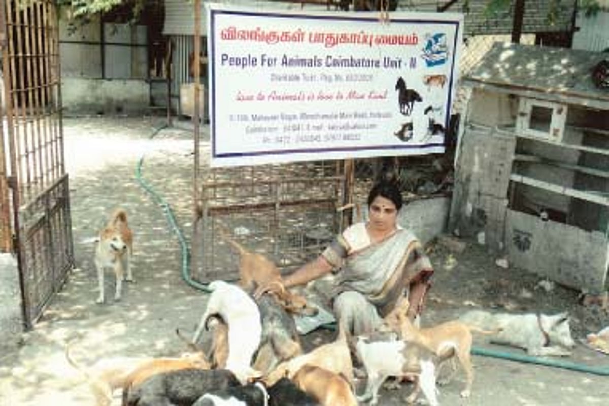 யானைகளை பிச்சையெடுக்க விடலாமா?