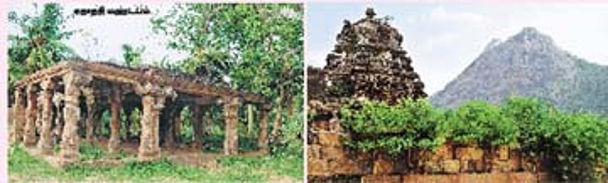 திருமகள் தேடி வந்த தலம்!