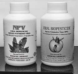 புயலால் தட்பவெப்ப நிலையில் மாற்றம்: பூச்சிகளின் தாக்குதலைக் கட்டுப்படுத்தும் வழிகள்