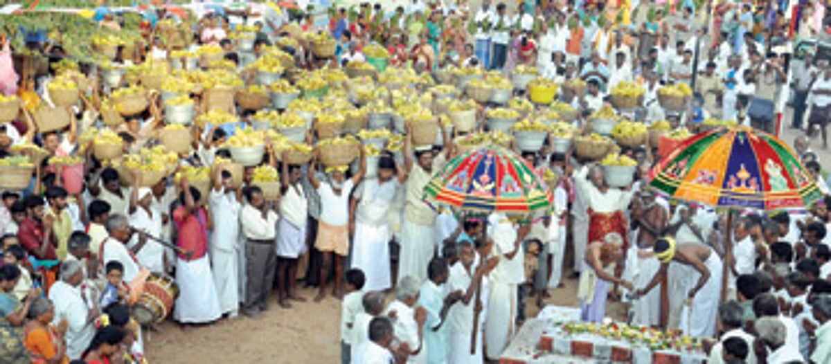 சூறைத் தேங்காய் அல்ல... சூறைப் பழம்!