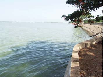 கடும் மின்வெட்டு, நீர்ப் பற்றாக்குறை: கேள்விக்குறியான விவசாயம்