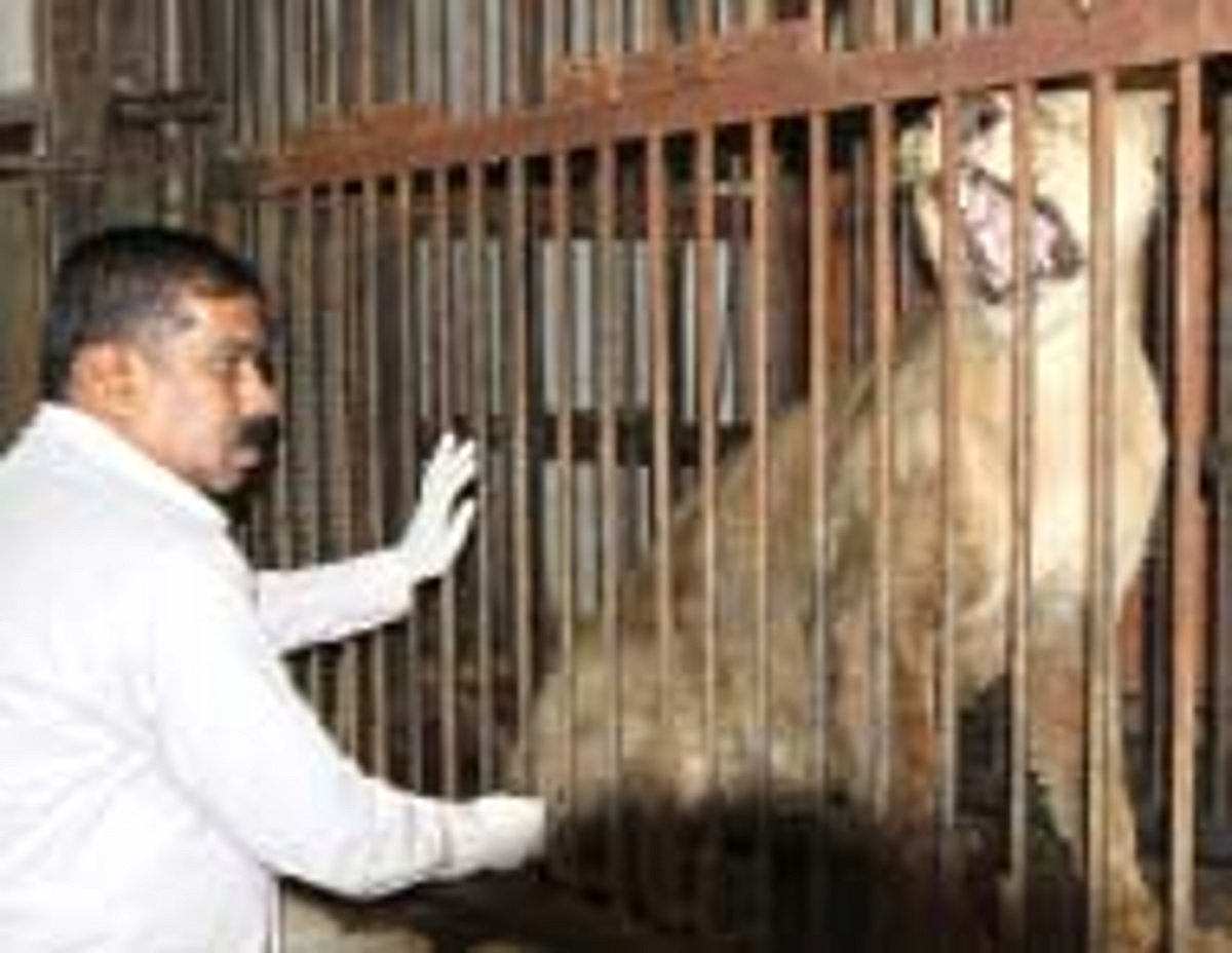 பாசம் காட்டினால் நேசம் காட்டும்!