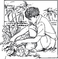 குறள் பாட்டு