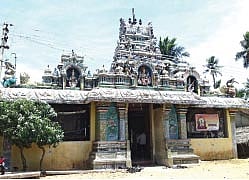 அத்தி மரத்தடியில் அன்னை!