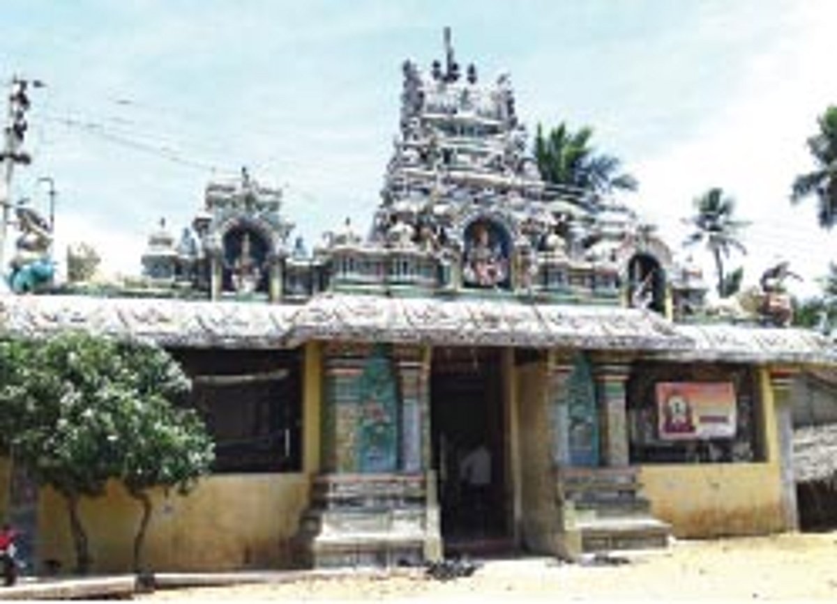 அத்தி மரத்தடியில் அன்னை!