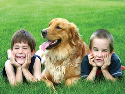 2.5 கிலோ முதல் 120 கிலோ வரை