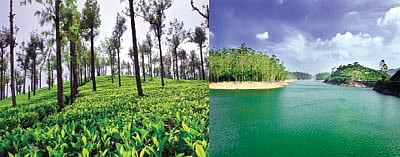 இயற்கை எழில் கொஞ்சும் மாஞ்சோலை!