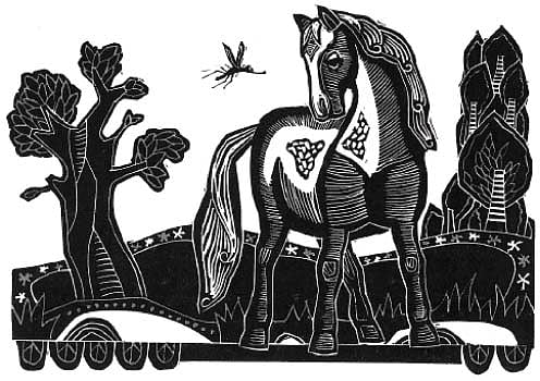 கொசுவும் குதிரையும்...