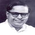 "பன்மொழி வித்தகர்' கே.ஆர்.வி.