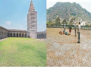 செஞ்சிக்கோட்டையில் பசுமை புல் தோட்டங்கள்