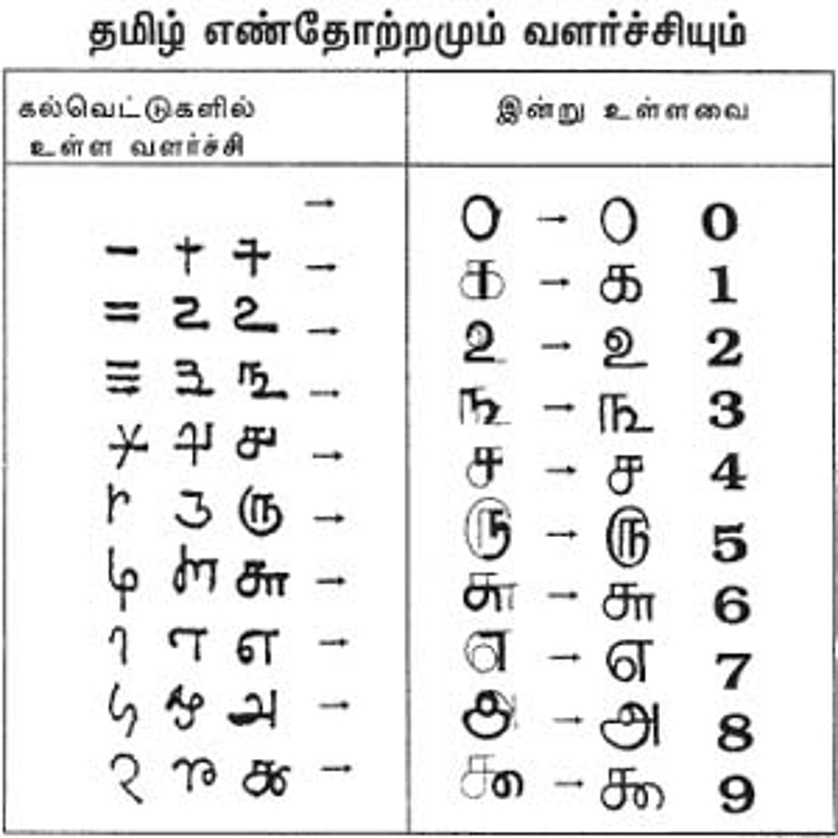 உலக எண்கள் தமிழ் எண்களே!